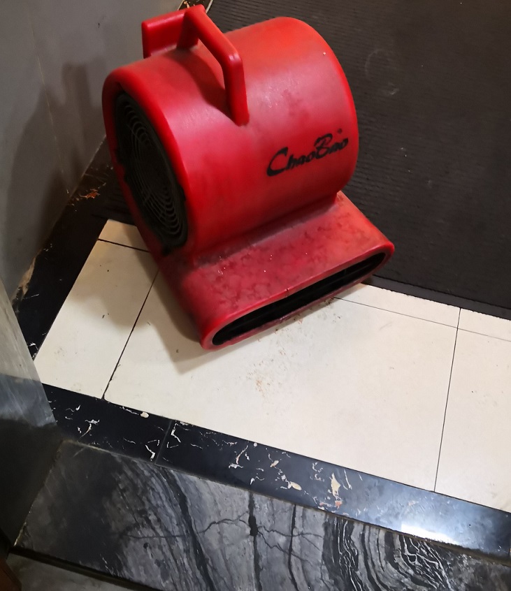 ǿķ
